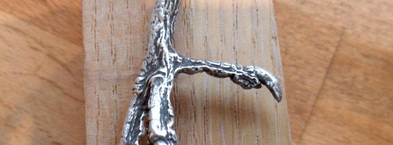 Bird claw cast in silver