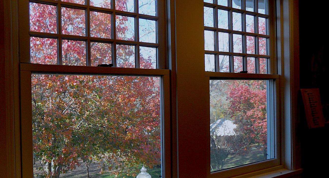 View outside studio window of fall colored leaves and yurts below