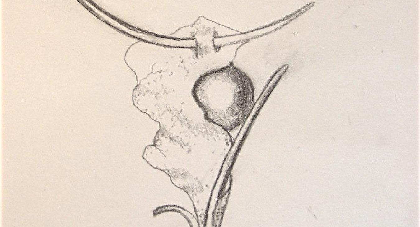 Pendant concept sketch