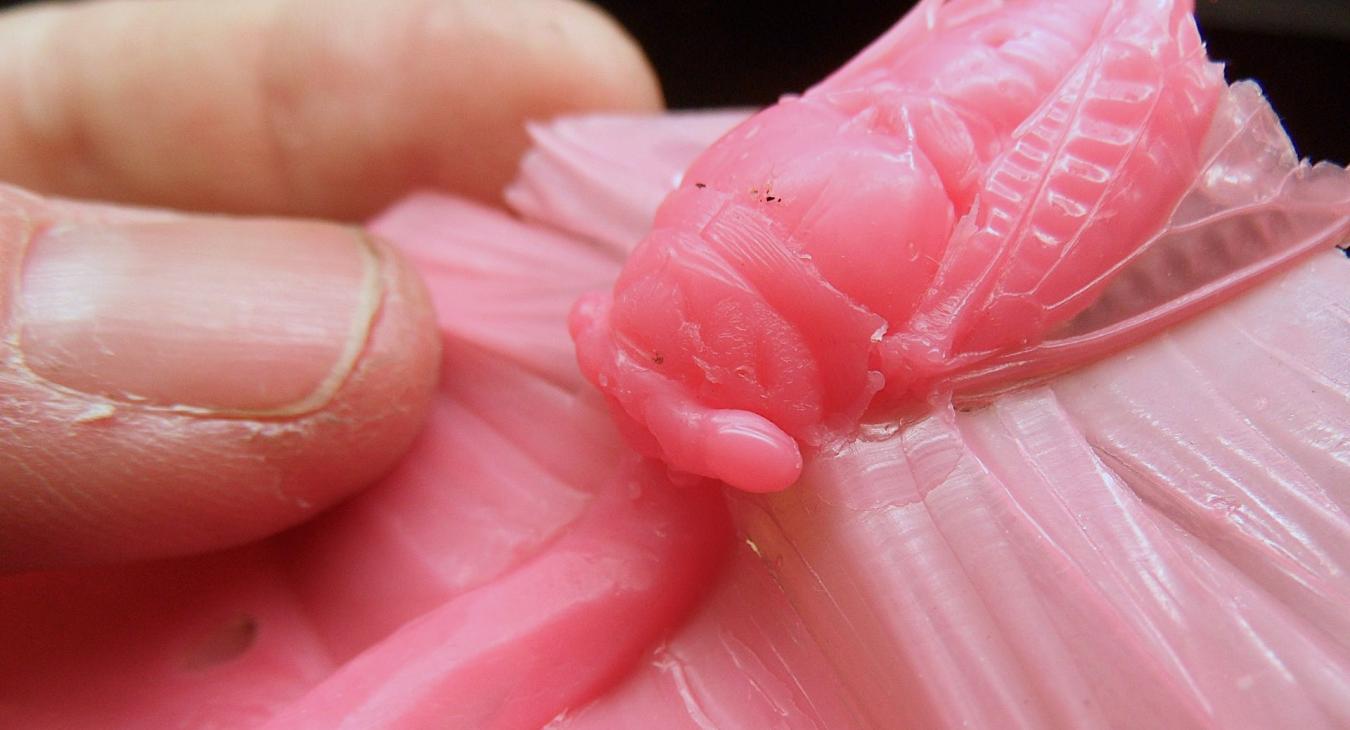 Pink injection wax from the rubber mold.
