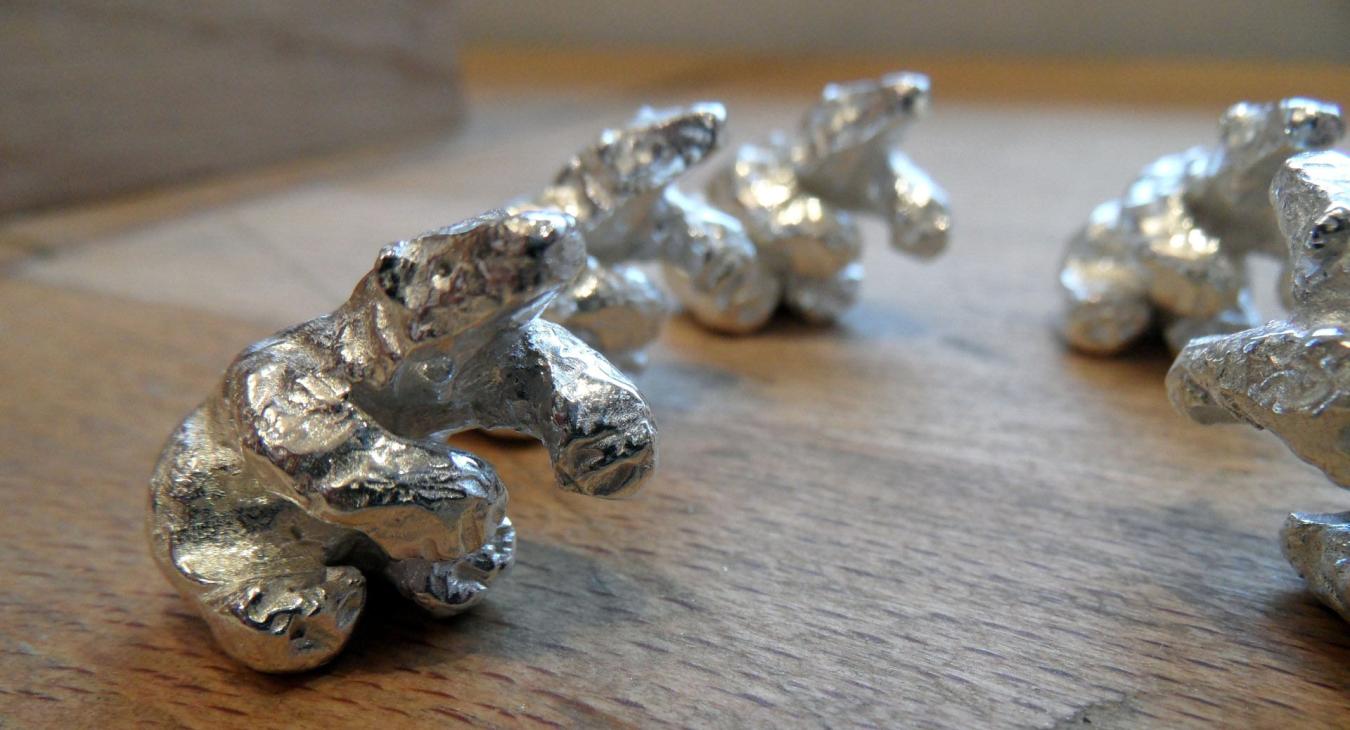 cast bears
