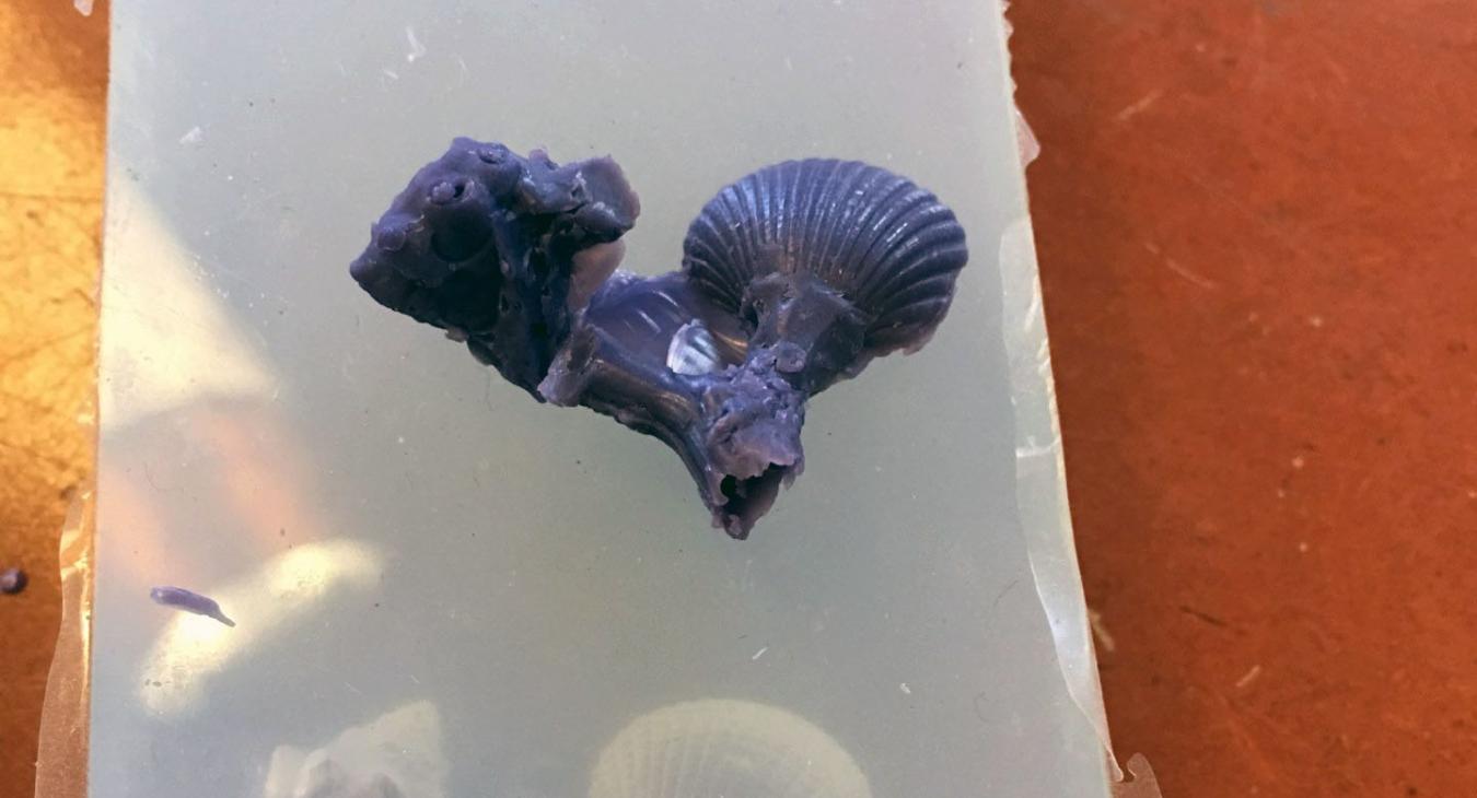 mold of shells in silicon