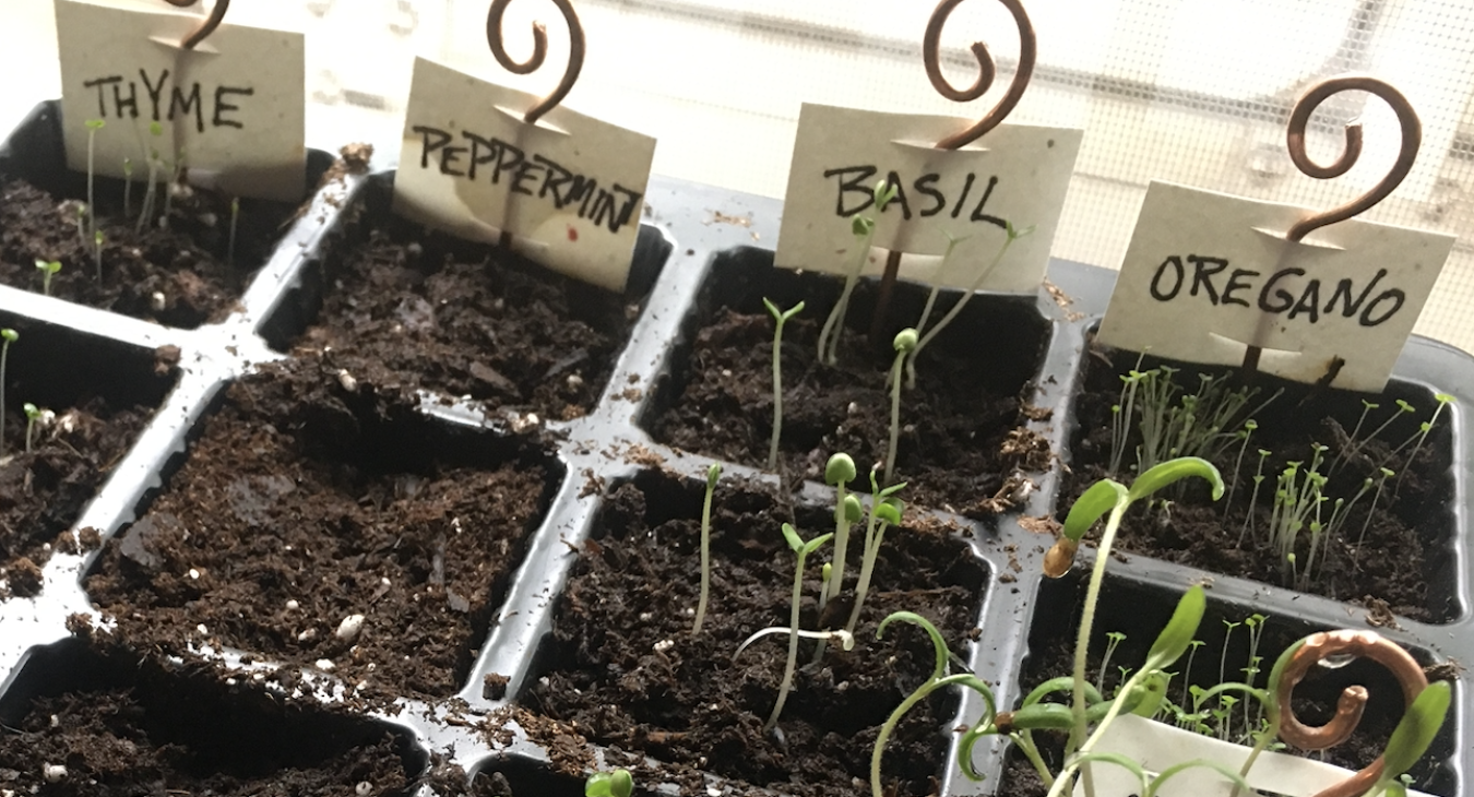 copper stakes holding herb labels in dirt