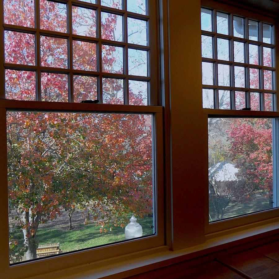 Fall leaves and the yurts below.