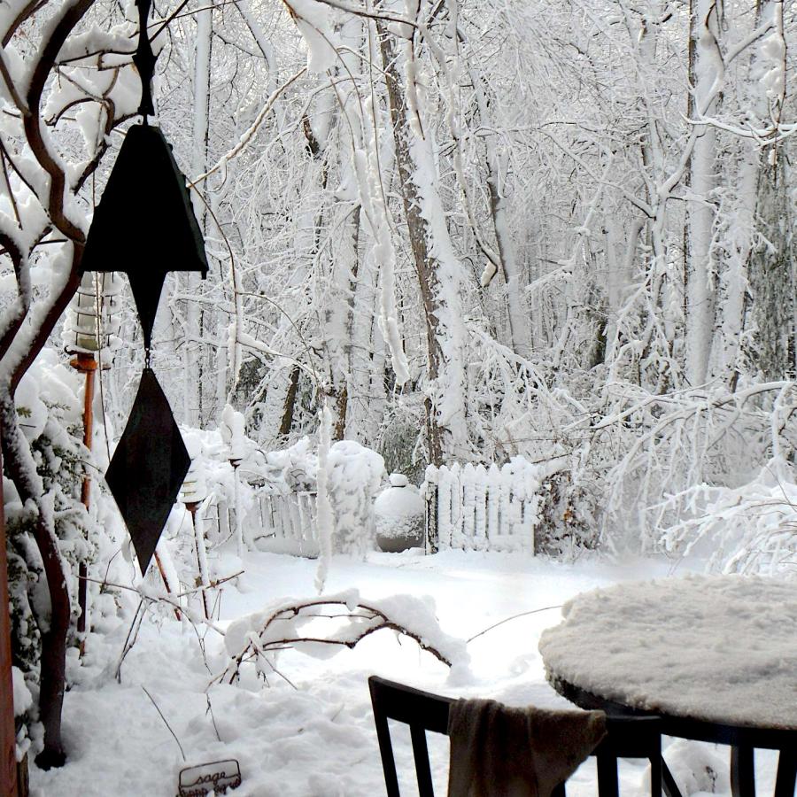 Winter snow outside my home studio.