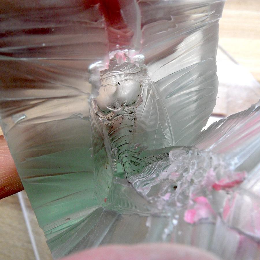 The empty rubber cicada mold