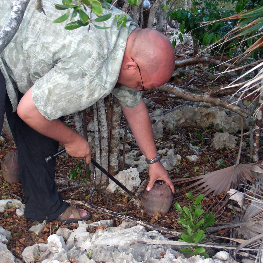 Bryan plants a coconut