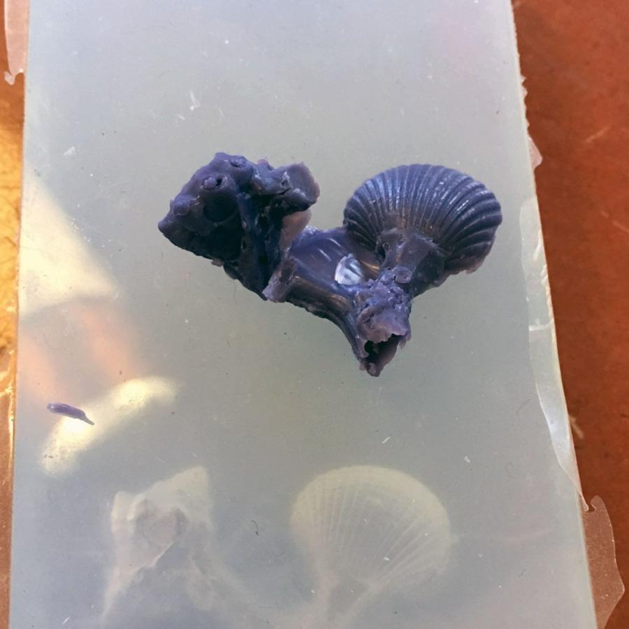 mold of shells in silicon