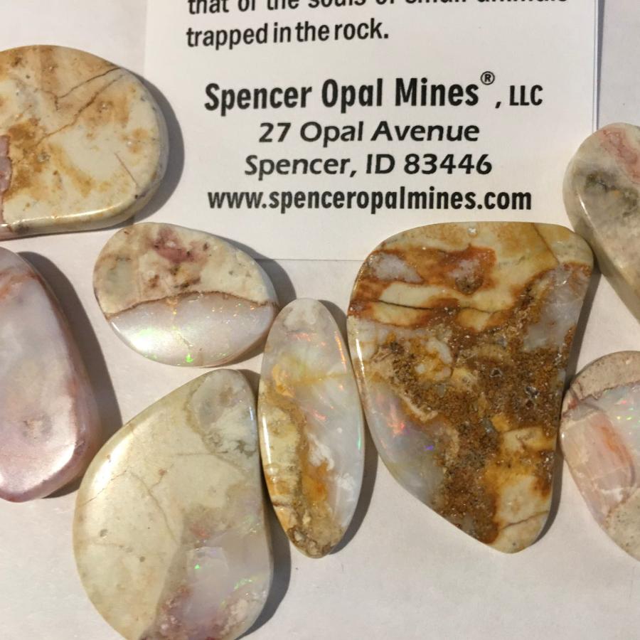 yellow and pink boulder opals next to company card