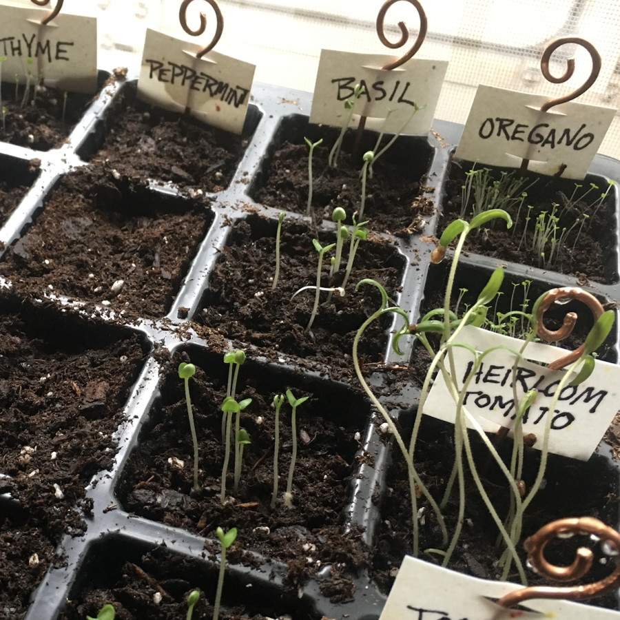 copper stakes holding herb labels in dirt