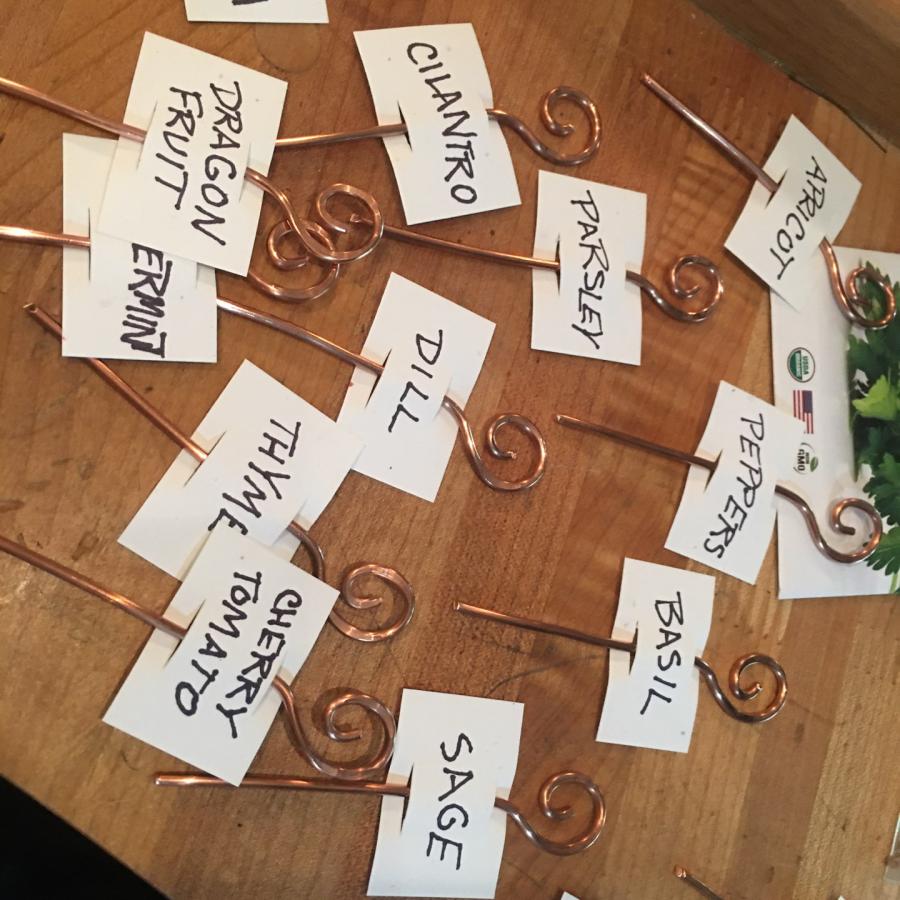 copper stakes with spiral at the end and plant labels 