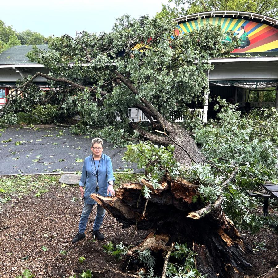 Blair standing next to large fallen tree in park