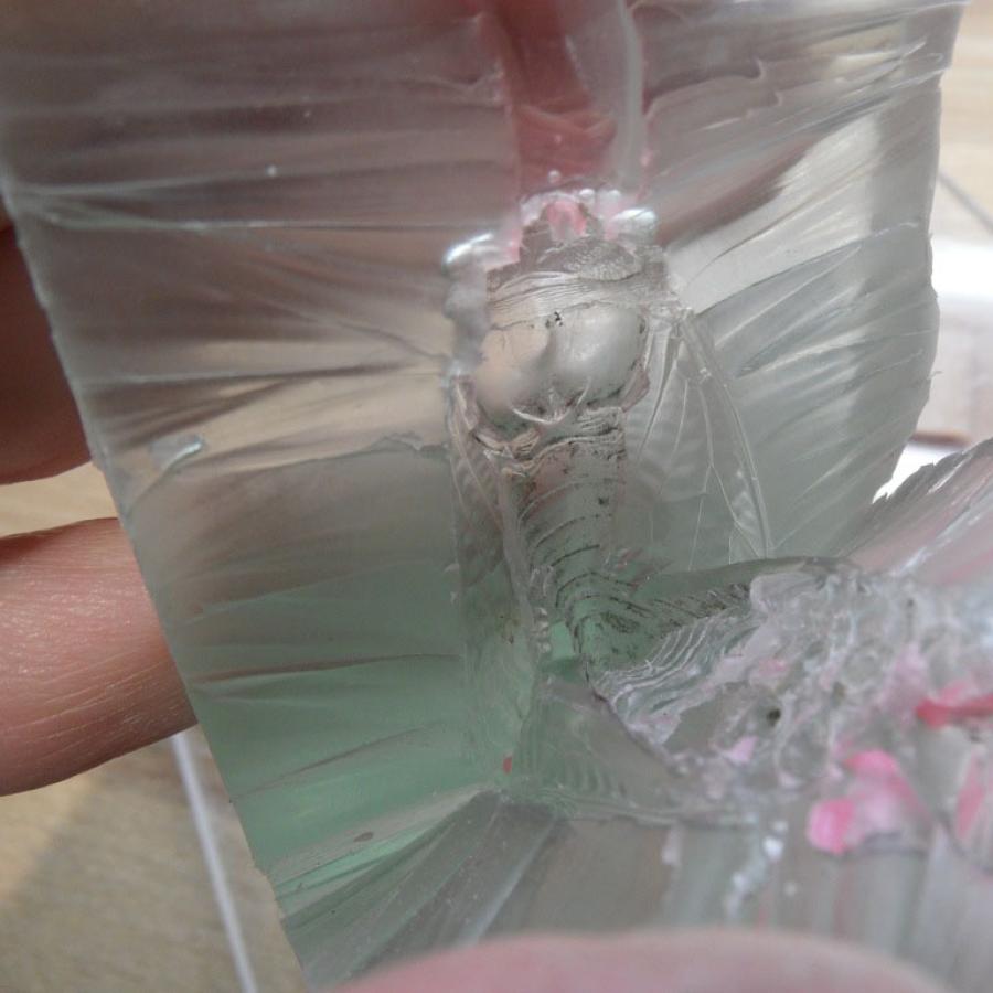 Rubber mold of a cicada