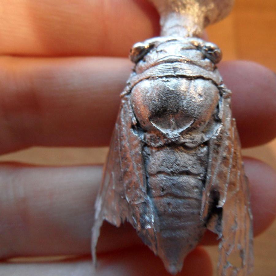 Close-up of a silver insect.