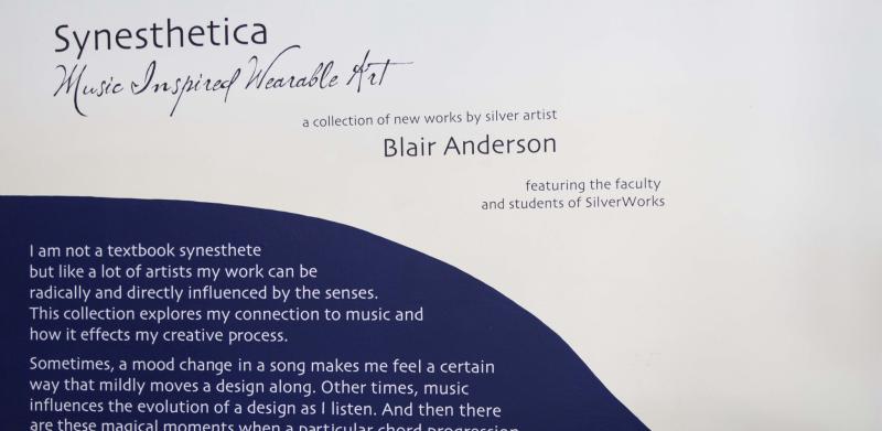 Wall text for the "Synesthetica" exhibition by Blair Anderson.