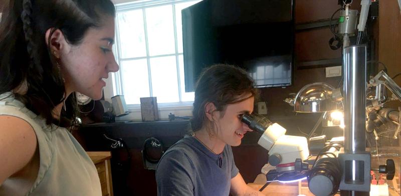 Photograph of a woman standing and watching a man look through a microscope.