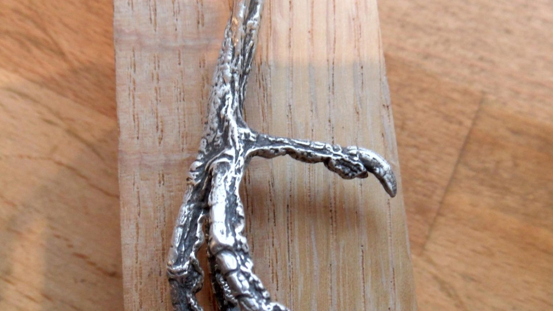 Bird claw cast in silver