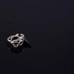 Photograph of a silver ring on a dark reflective surface.